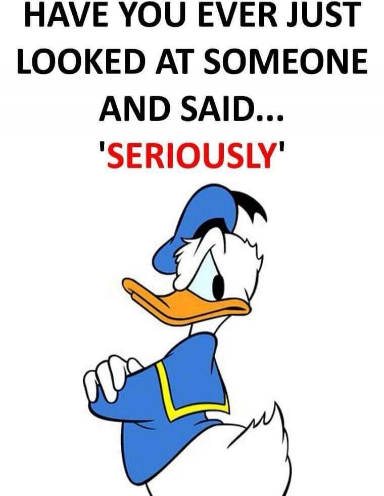 HAVE YOU EVER JUST LOOKED AT SOMEONE AND SAID... 'SERIOUSLY'
