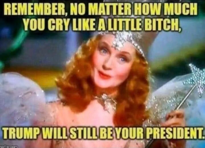 REMEMBER, NO MATTER HOW MUCH YOU CRY LIKE A LITTLE BITCH, TRUMP WILL STILL BE YOUR PRESIDENT!