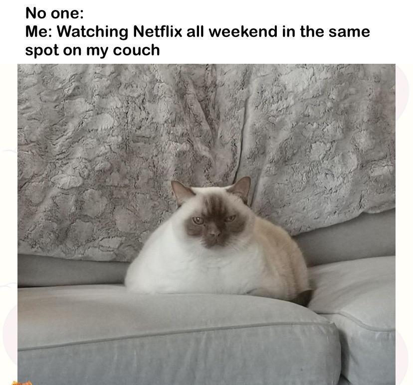 No one Me Watching Netflix all weekend in the same spot on my couch