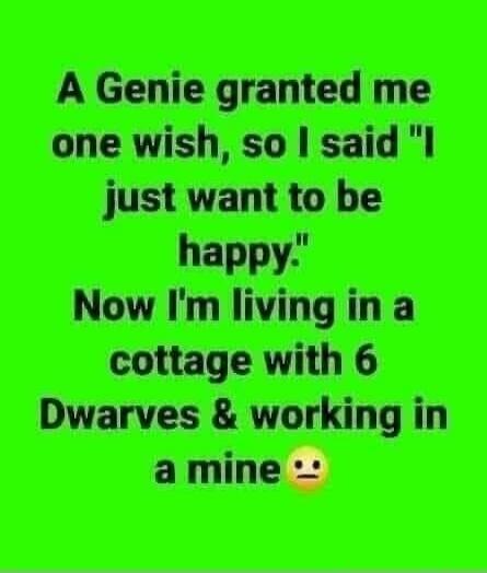A Genie granted me one wish, so I said 