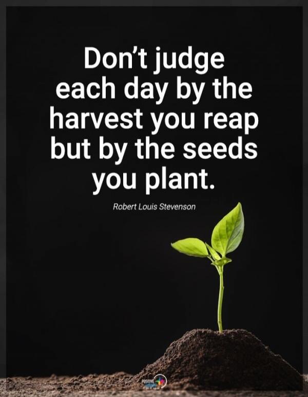 Don't judge each day by the harvest you reap but by the seeds you plant. Robert Louis Stevenson