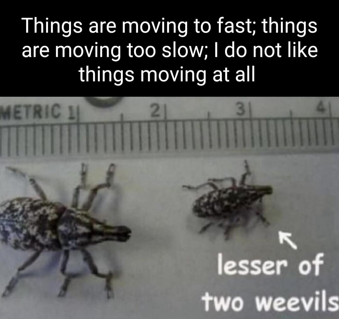 AL ETCE Y R CR R RG are moving too slow do not like things moving at all