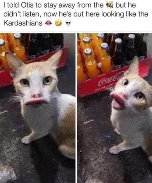 told Otis to stay away from the but he didnt listen now hes out here looking like the Kardashians