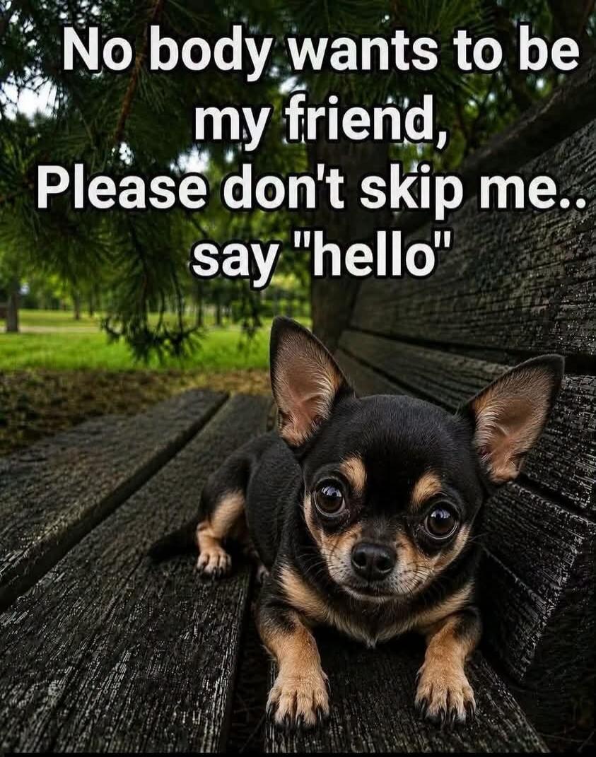 No body wants to be my friend, Please don't skip me.. say 