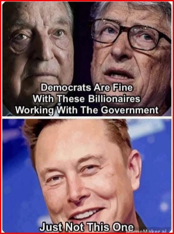 Democrats Are Fine With These Billionaires Working With The Government Just Not This One