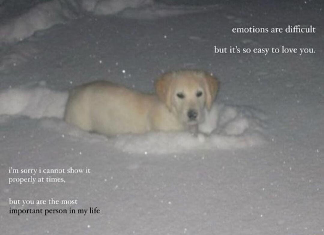 emotions are difficult bt it so easy to love you important person i my e