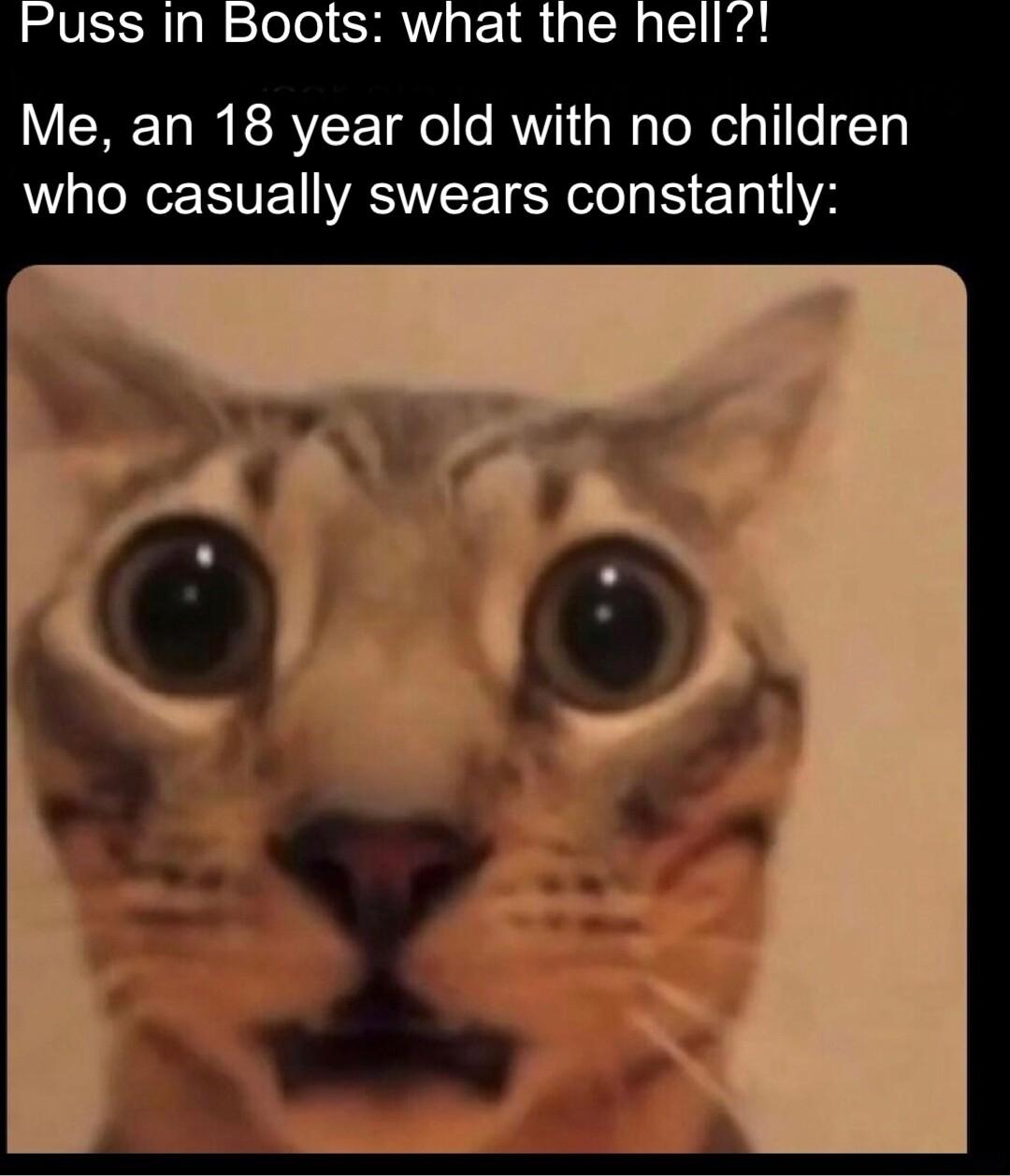Me an 18 year old with no children who casually swears constantly
