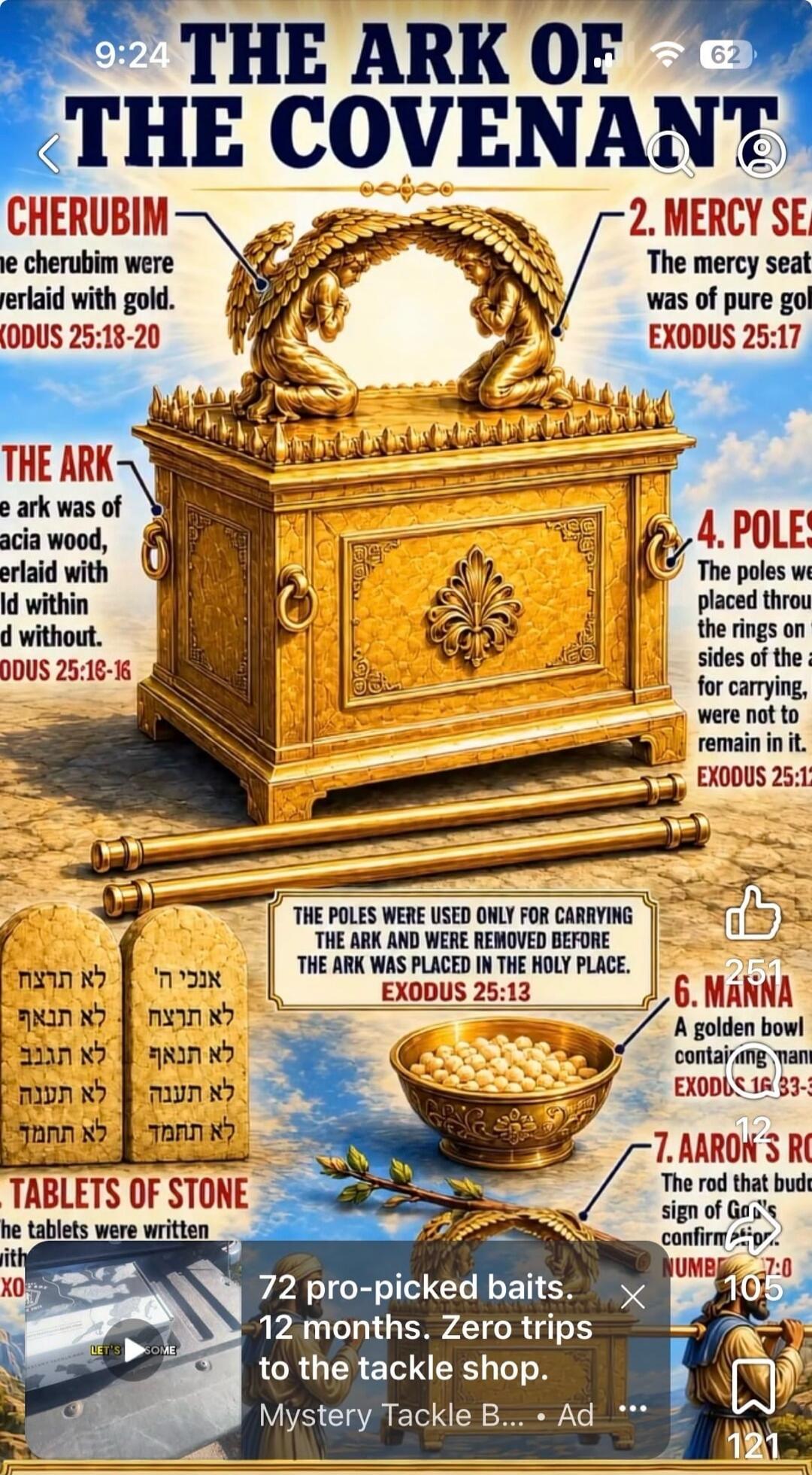THE ARK OF THE COVENANT. CHERUBIM: The cherubim were overlaid with gold. EXODUS 25:18-20. MERCY SEAT: The mercy seat was of pure gold. EXODUS 25:17. THE ARK: The ark was of acacia wood, overlaid with gold within and without. EXODUS 25:10-16. POLES: The poles were placed through the rings on the sides of the ark for carrying, and were not to remain 