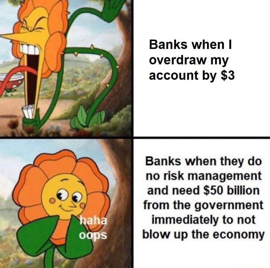 Banks when overdraw my account by 3 Banks when they do no risk management and need 50 billion from the government immediately to not blow up the economy