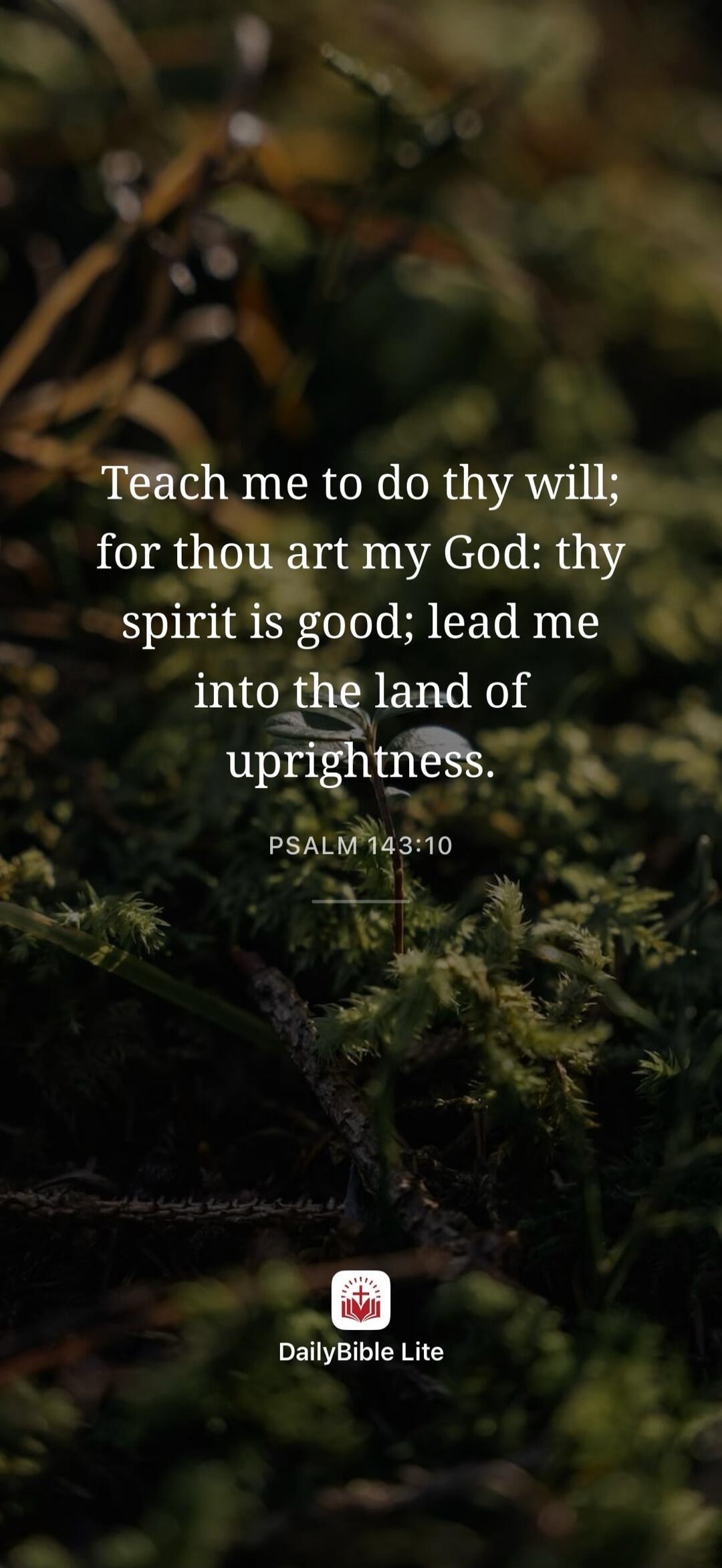 Teach me to do thy will; for thou art my God: thy spirit is good; lead me into the land of uprightness. PSALM 143:10 DailyBible Lite