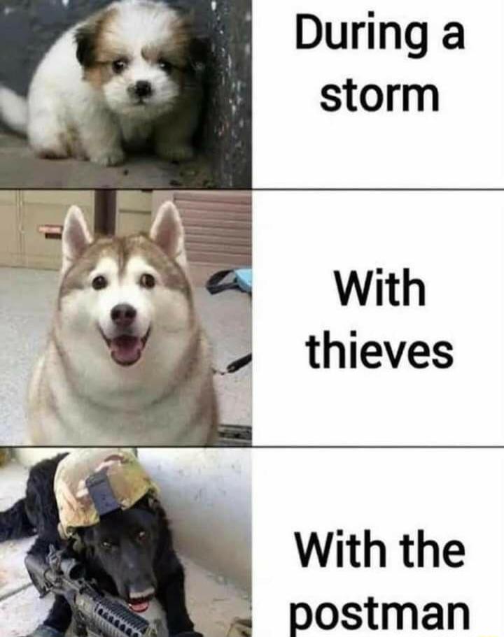 During a storm postman