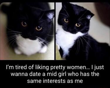 Im tired of liking pretty women just NN EREICE NI Ko R ol EER G 15 same interests as me