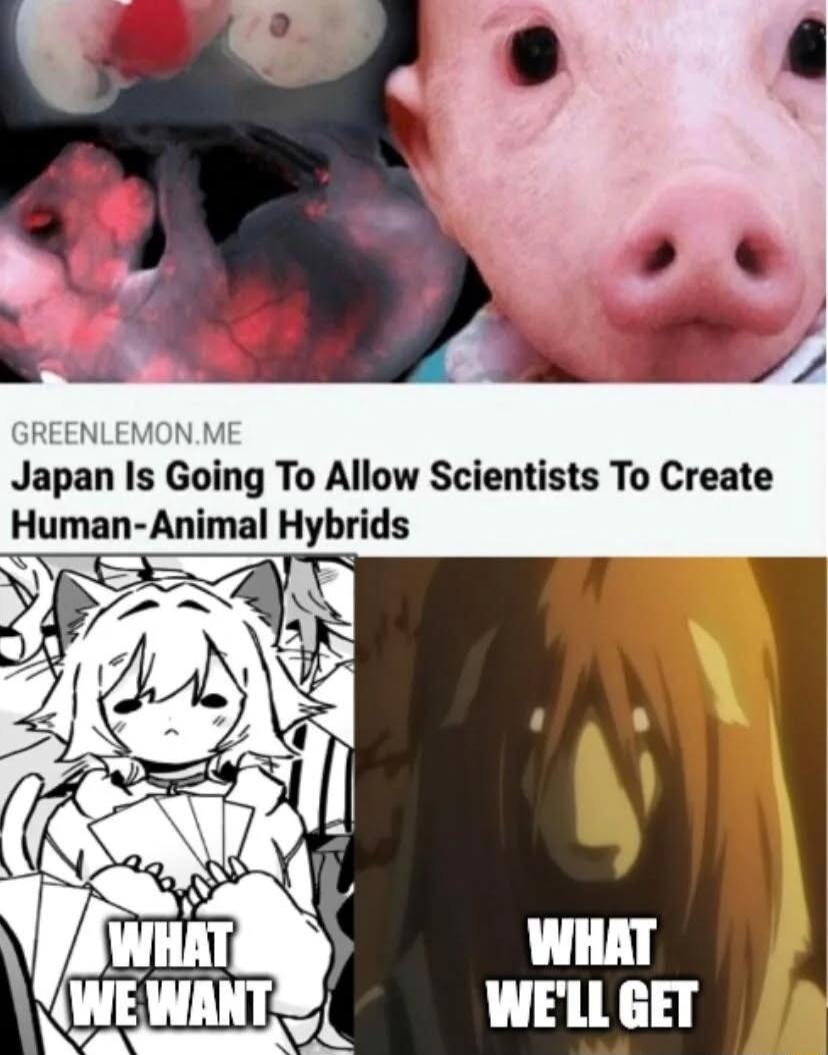 ing To Allow Scientists To Create Human Animal Hybrids SS an