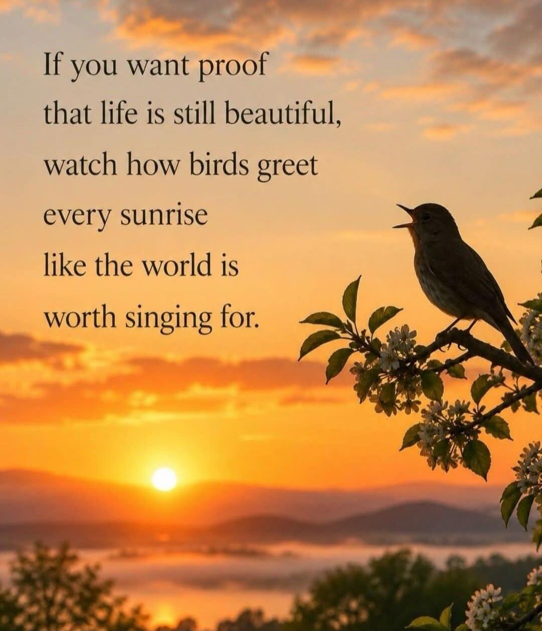 If you want proof that life is still beautiful, watch how birds greet every sunrise like the world is worth singing for.