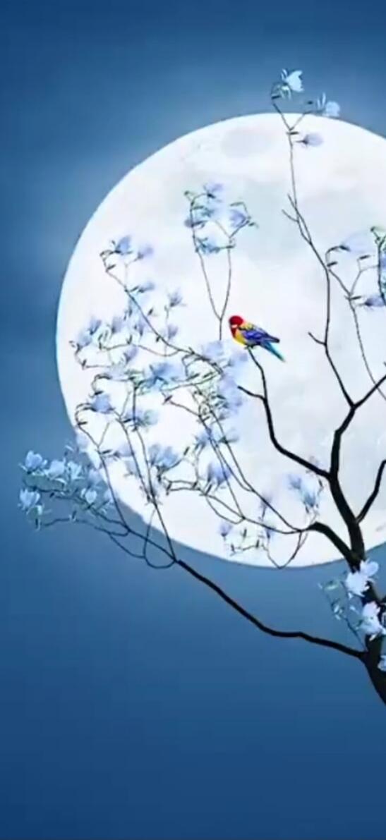 A colorful parrot perched on a tree branch silhouetted against a large full moon.
