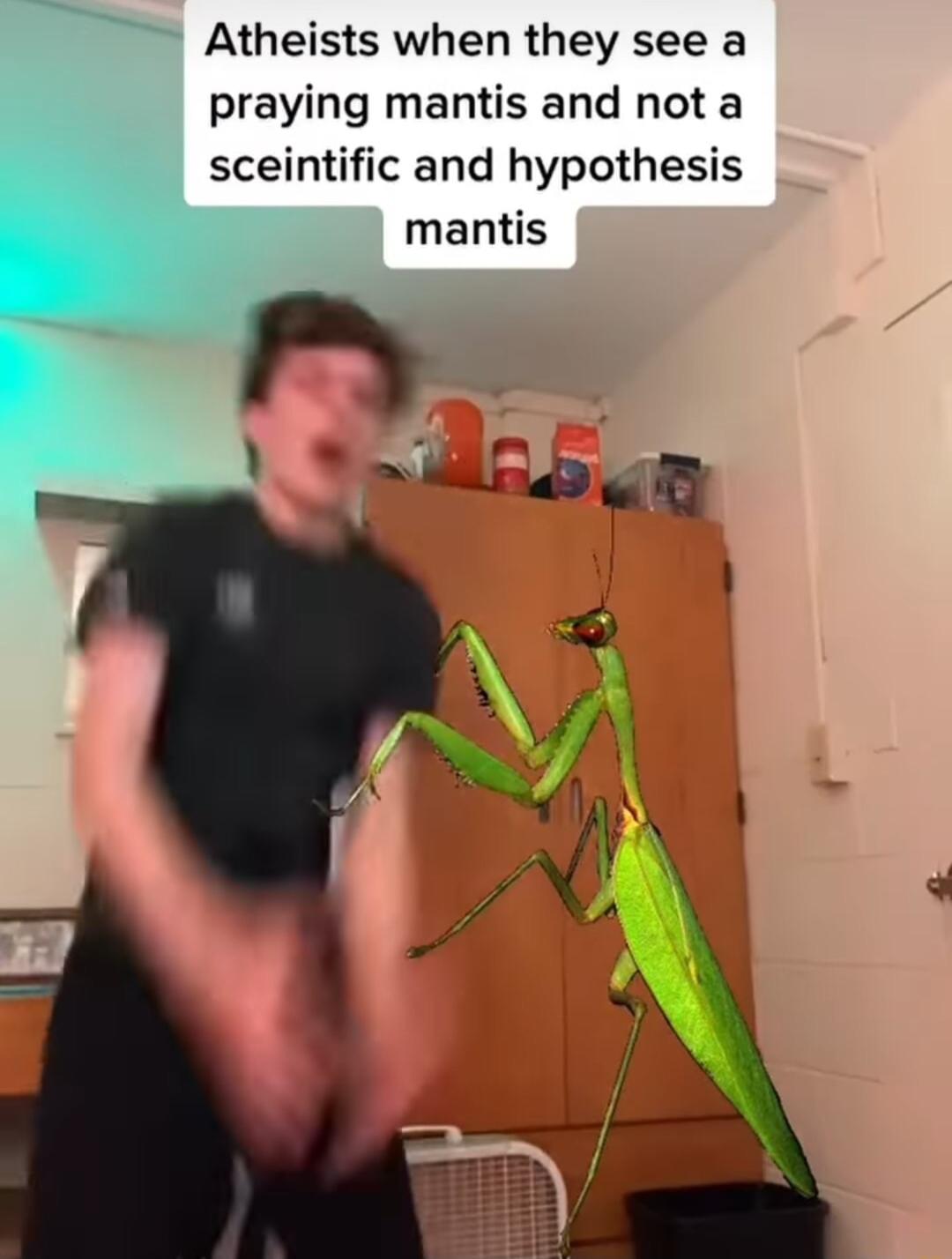 Atheists when they see a praying mantis and not a sceintific and hypothesis