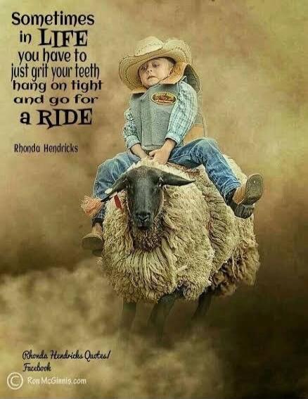 Sometimes in LIFE you have to just grit your teeth hang on tight and go for a RIDE Rhonda Hendricks Rhonda Hendricks Quotes/ Facebook © Ron McGinnis.com