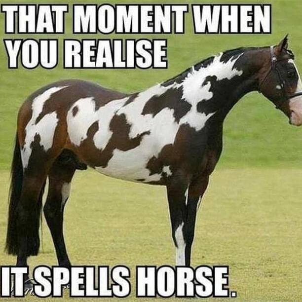 THATMOMENT WHEN YOUIREALISE li w IT SPEllS HORSE