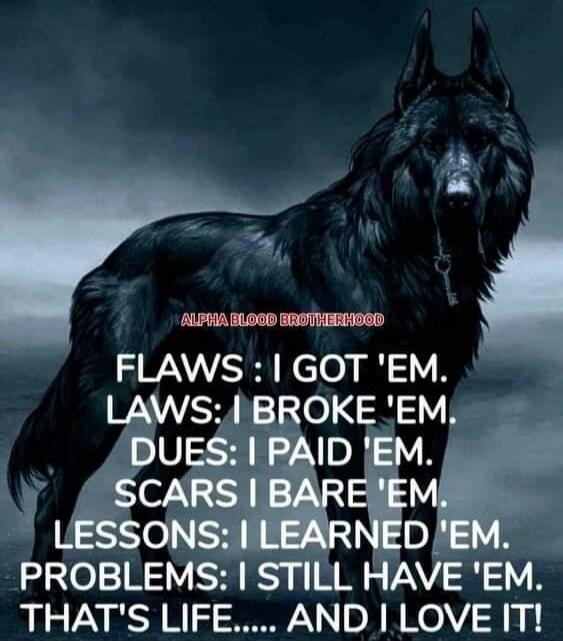 ALPHA BLOOD BROTHERHOOD. FLAWS: I GOT 'EM. LAWS: I BROKE 'EM. DUES: I PAID 'EM. SCARS I BARE 'EM. LESSONS: I LEARNED 'EM. PROBLEMS: I STILL HAVE 'EM. THAT'S LIFE..... AND I LOVE IT!