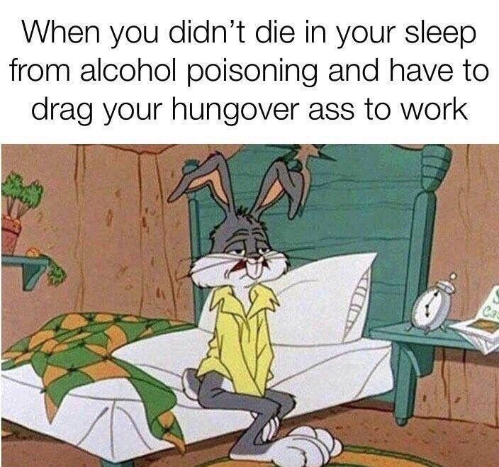 When you didnt die in your sleep from alcohol poisoning and have to drag your hungover ass to work