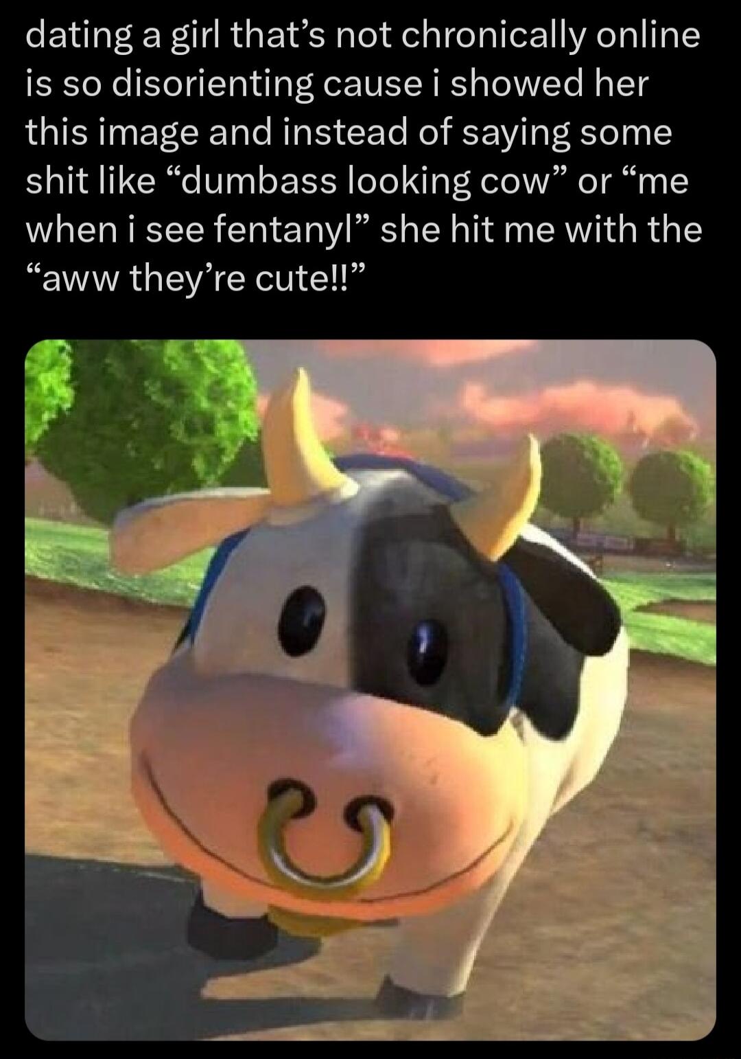 dating a girl thats not chronically online is so disorienting cause i showed her this image and instead of saying some shit like dumbass looking cow or me when i see fentanyl she hit me with the aww theyre cutel