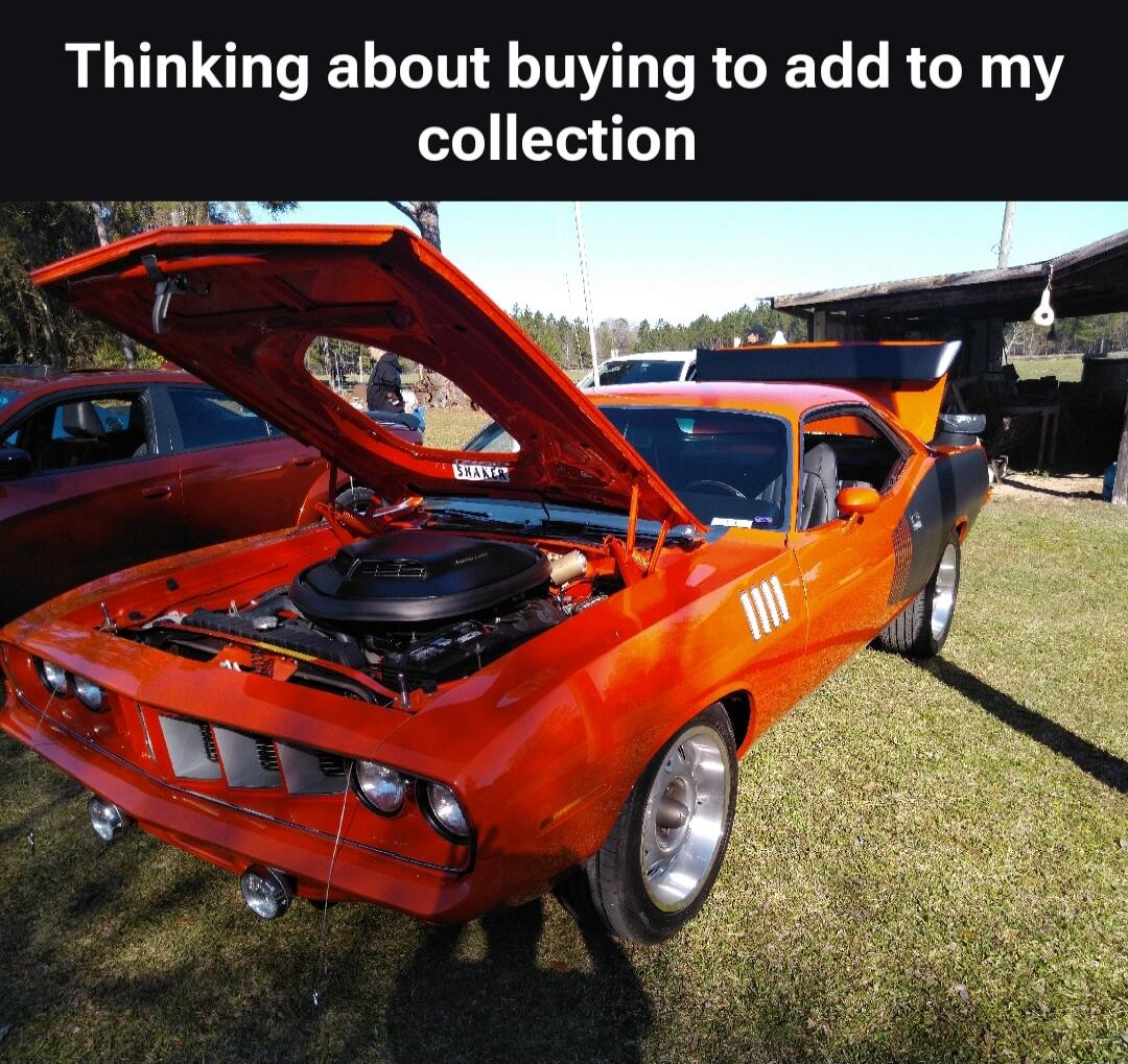 Thinking about buying to add to my collection