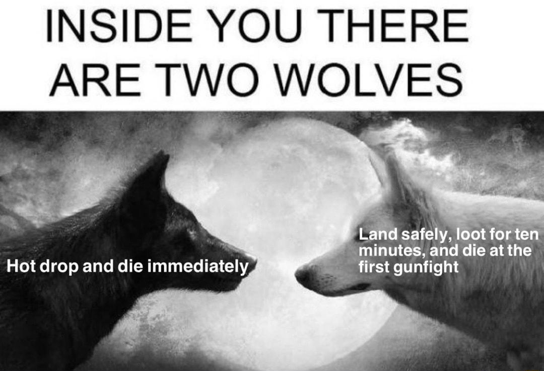 INSIDE YOU THERE ARE TWO WOLVES and safely loot for te minutes an dd atthe p o Qe TeToXoTa Lo le ITT 1 T Ve T 1A fl S nfi ight