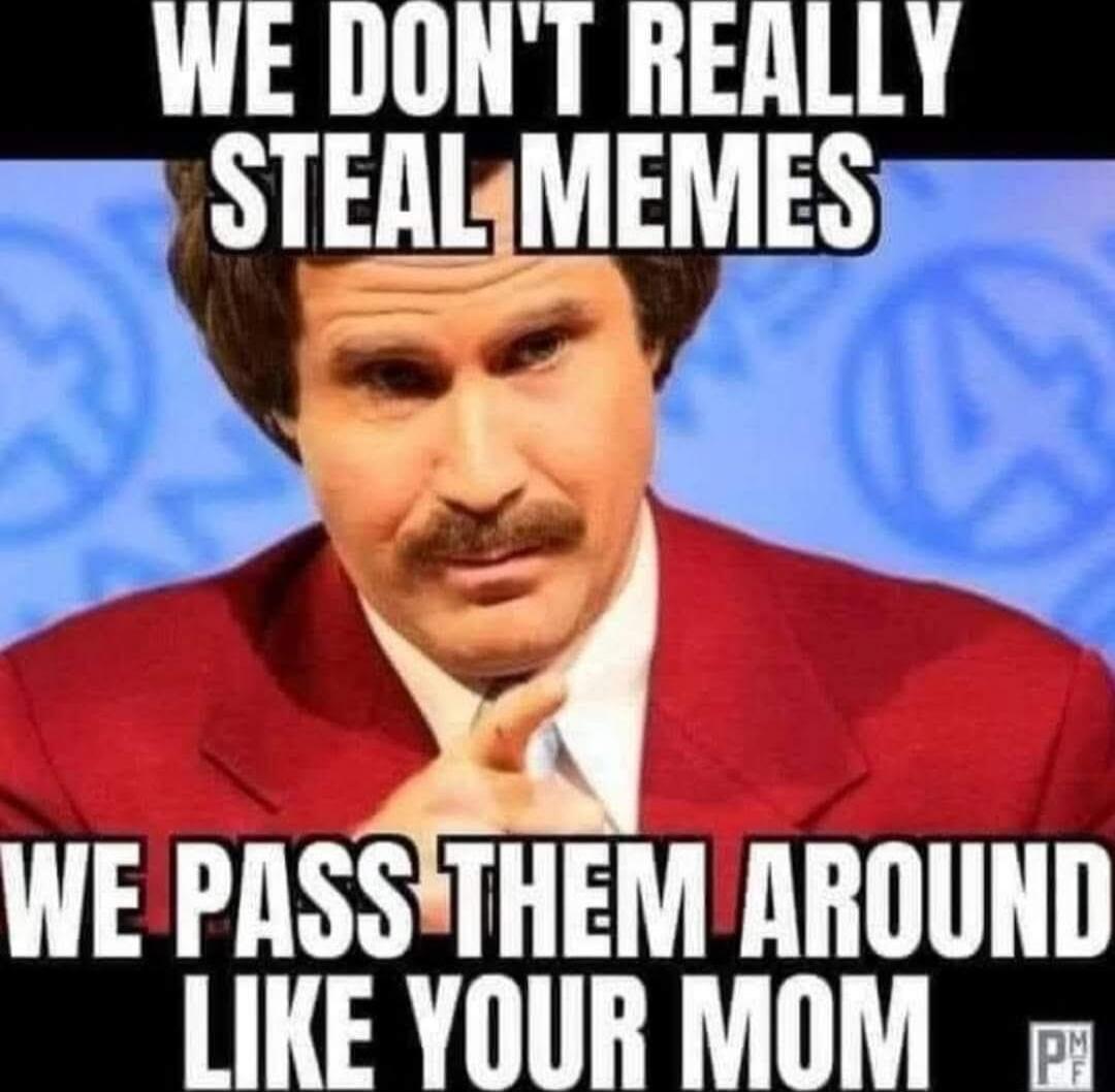 WE DON'T REALLY STEAL MEMES WE PASS THEM AROUND LIKE YOUR MOM