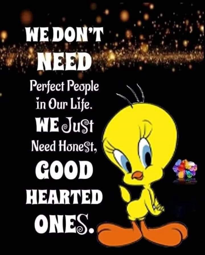 WE DON'T NEED Perfect People in Our Life. WE Just Need Honest, GOOD HEARTED ONES.
