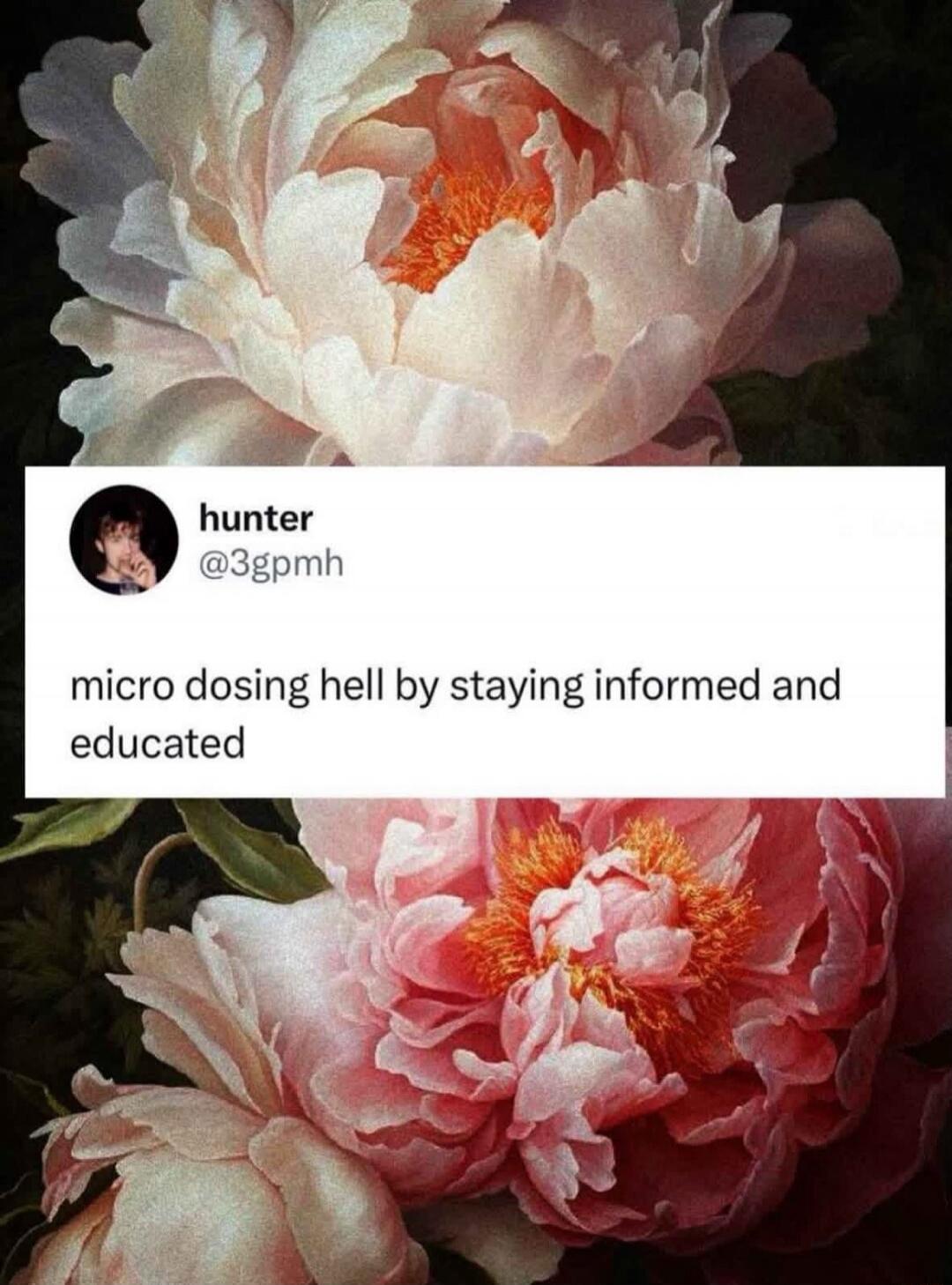 micro dosing hell by staying informed and educated