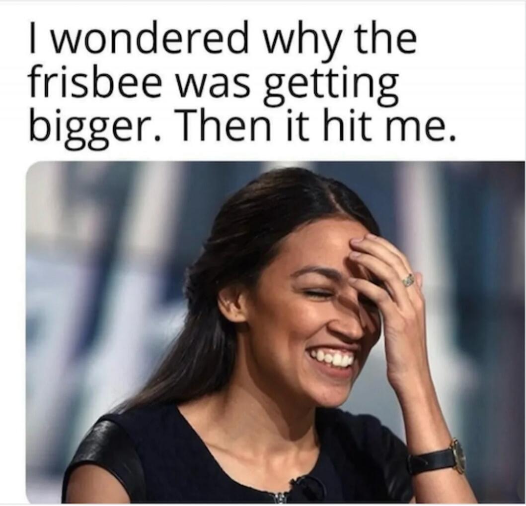 I wondered why the frisbee was getting bigger. Then it hit me.