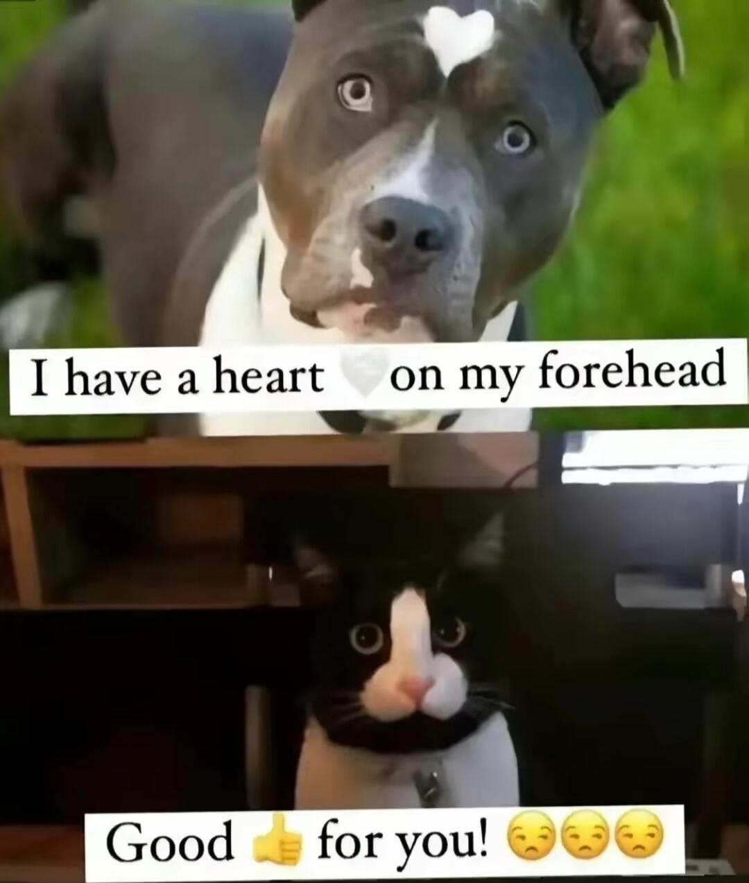 I have a heart on my forehead