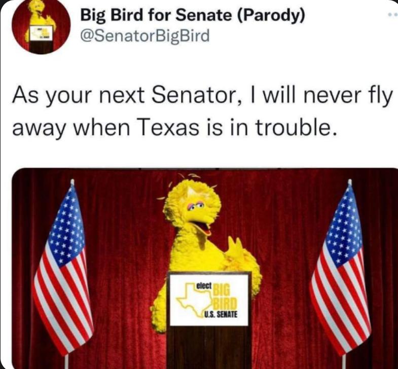 g W Big Bird for Senate Parody iy SenatorBigBird As your next Senator will never fly away when Texas is in trouble