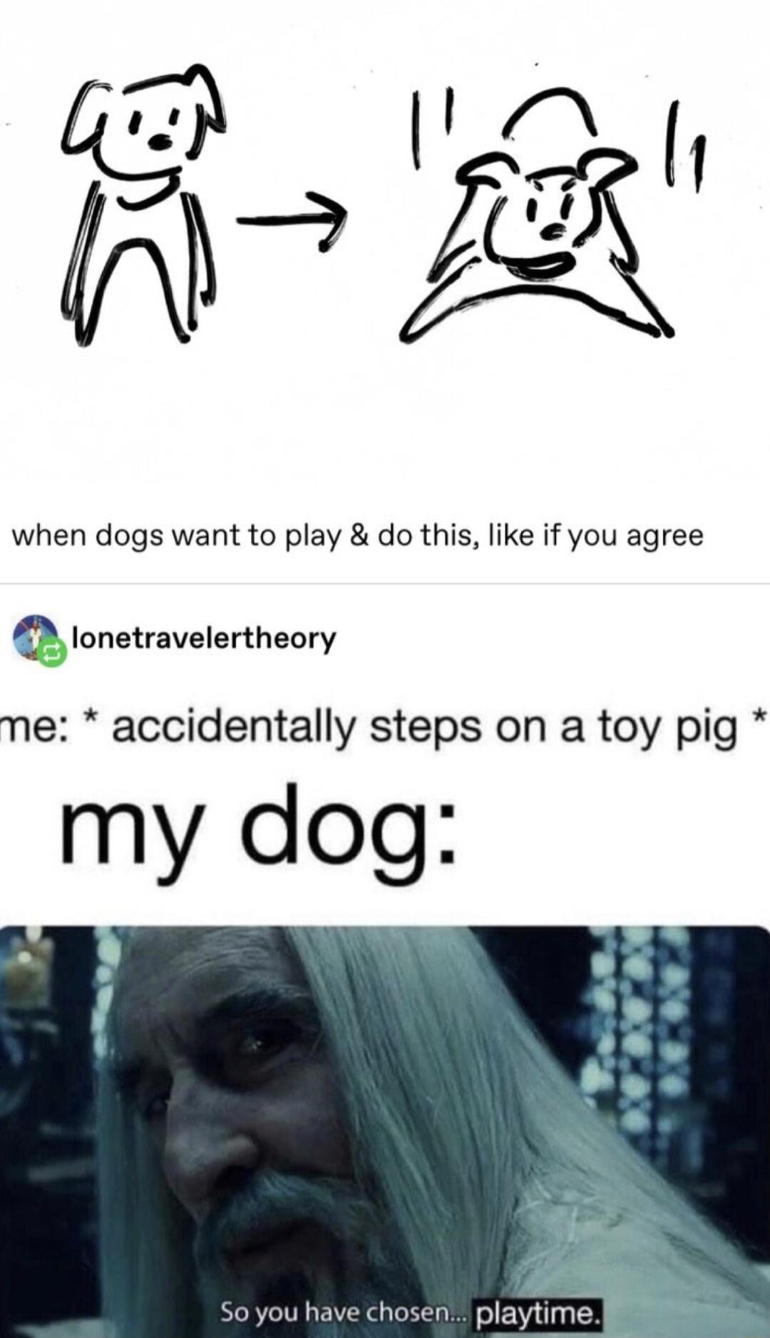 s DS 47_3 f when dogs want to play do this like if you agree D lonetravelertheory me accidentally steps on a toy pig my dog 2 chosen playtime