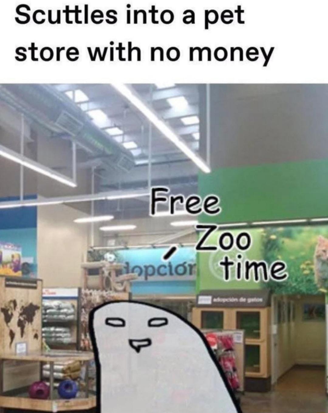 Scuttles into a pet store with no money