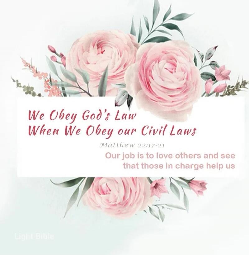 We Obey God's Law When We Obey our Civil Laws Matthew 22:17-21 Our job is to love others and see that those in charge help us Light Bible