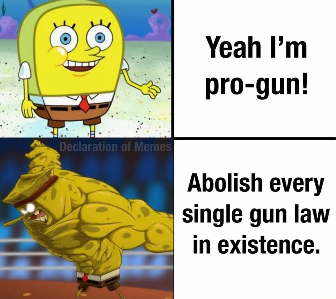 Yeah Im pro gun Abolish every single gun law in existence
