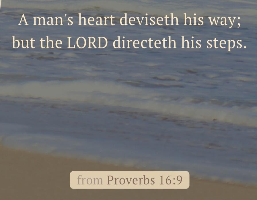 A man's heart deviseth his way; but the LORD directeth his steps. from Proverbs 16:9
