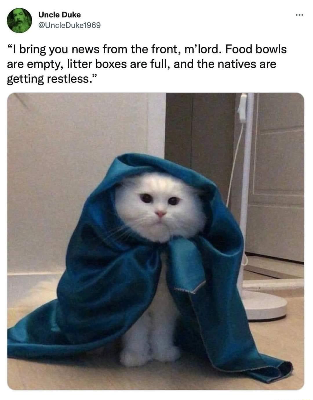 Uncle Duke UncleDuk I bring you news from the front mlord Food bowls are empty litter boxes are full and the natives are getting restless