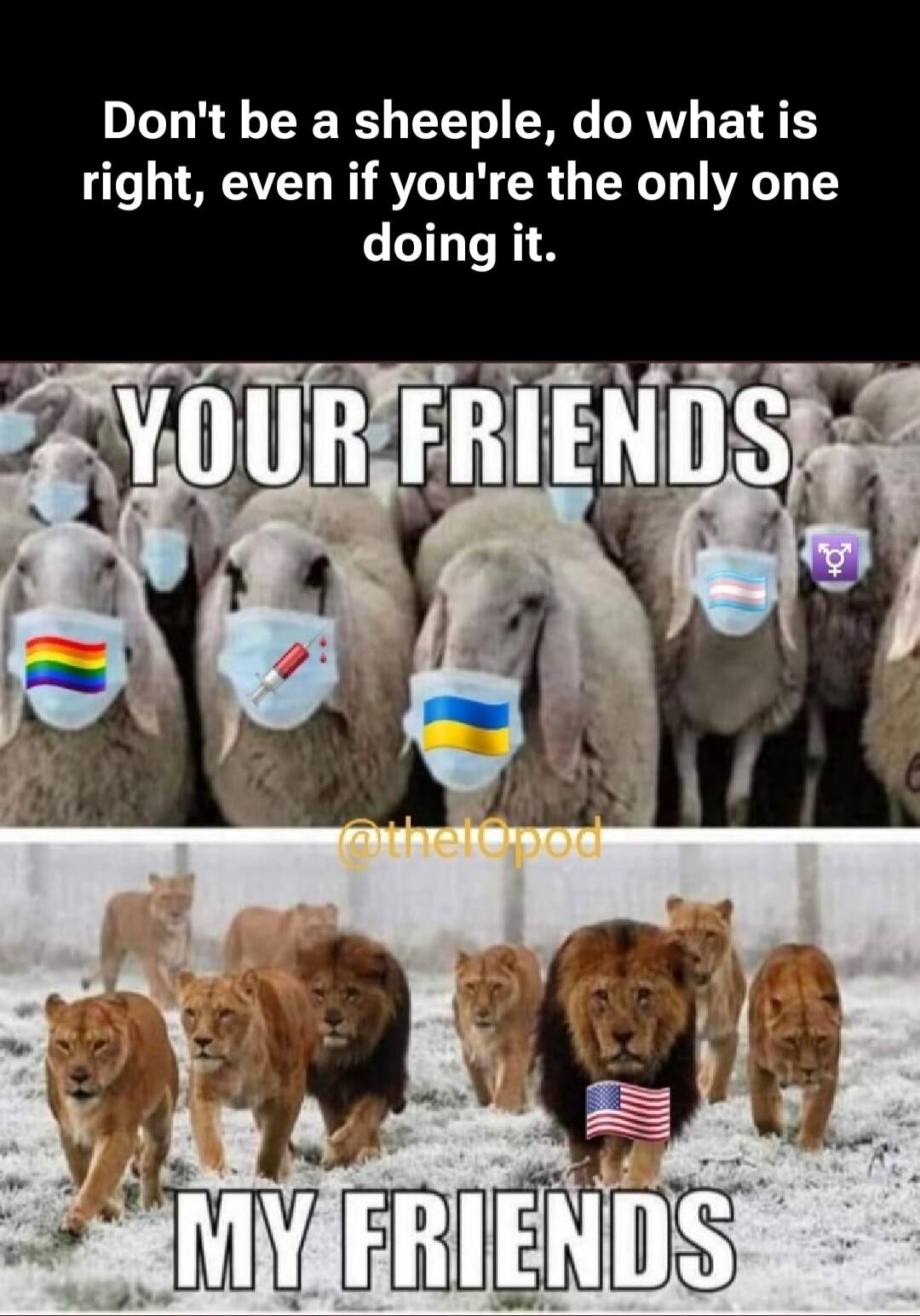 Don't be a sheep, do what is right, even if you're the only one doing it. YOUR FRIENDS [sheep with various flags] MY FRIENDS [lions with US flag]