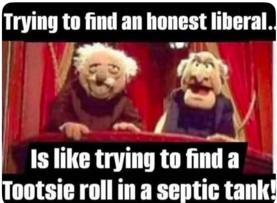 Trying to find an honest liberal.. Is like trying to find a Tootsie roll in a septic tank!