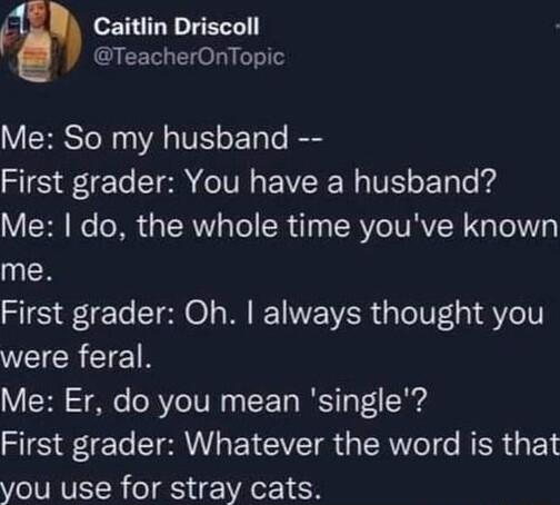 Caitlin Driscoll TeacherOnTopic Y CRRSToN AR VS o TaTe ST FTe T eIV VI N T oY Te g Me do the whole time youve known me First grader Oh always thought you WEICRETETR VRN e R VeIV Ty IS T 10 SO e I EICVEI R GERe I RER Y you use for stray cats