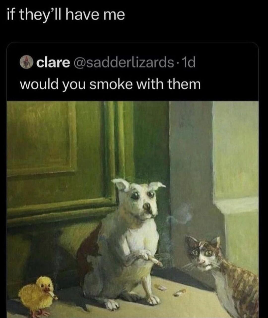 RGN EVEN Y clare sadderlizards 1d would you smoke with them