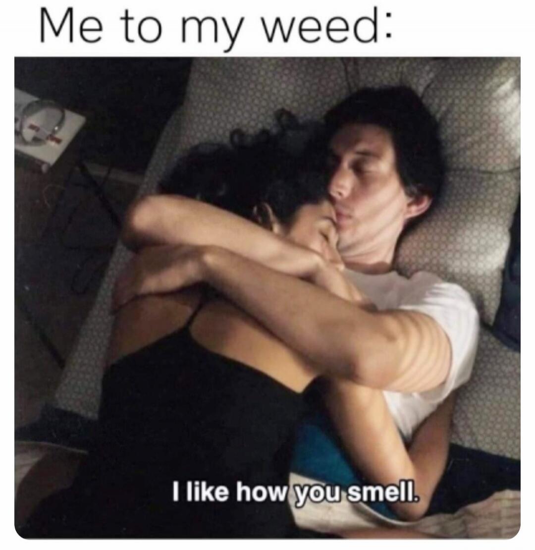 Me to my weed:
I like how you smell.