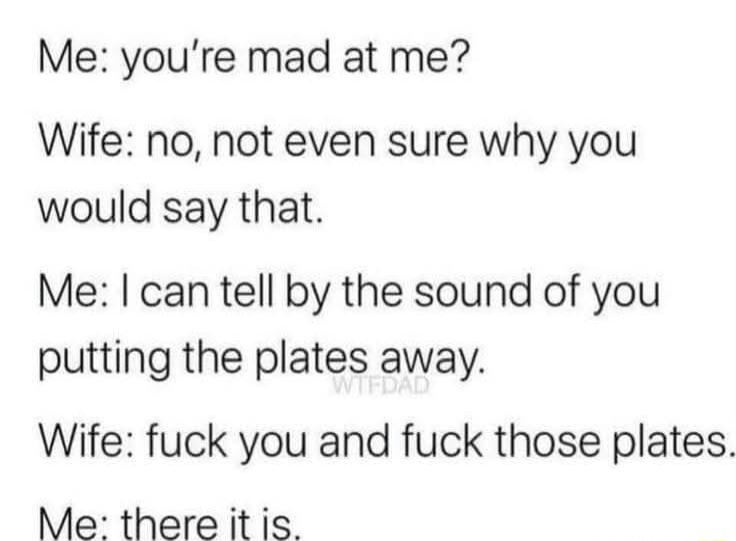 Me youre mad at me Wife no not even sure why you would say that Me can tell by the sound of you putting the plates away Wife fuck you and fuck those plates Me there it is