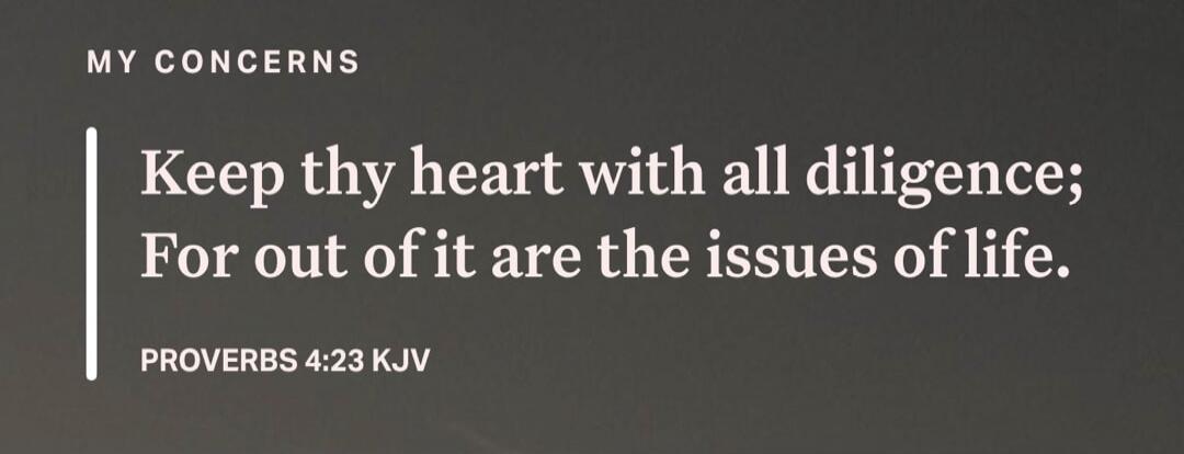 MY CONCERNS Keep thy heart with all diligence; For out of it are the issues of life. PROVERBS 4:23 KJV
