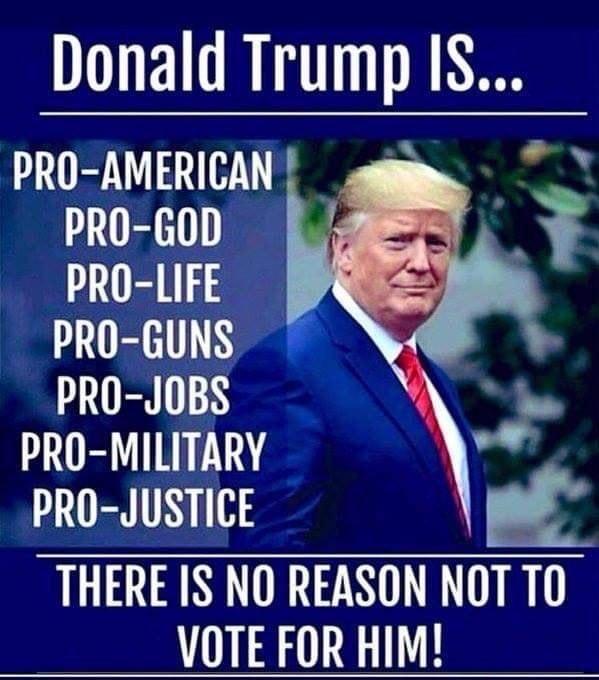 Donald Trump IS PRO AMERICAN o v PRO GOD R PRO LIFE PRO GUNS PRO JOBS 1 PRO MILITARY o YT V THERE IS NO REASON NOT TO VOTE FOR HIM