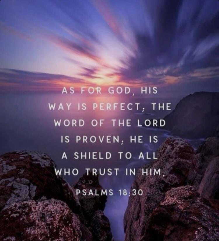 AS FOR GOD HIS WAY IS PERFECT, THE WORD OF THE LORD IS PROVEN, HE IS A SHIELD TO ALL WHO TRUST IN HIM. PSALMS 18:30
