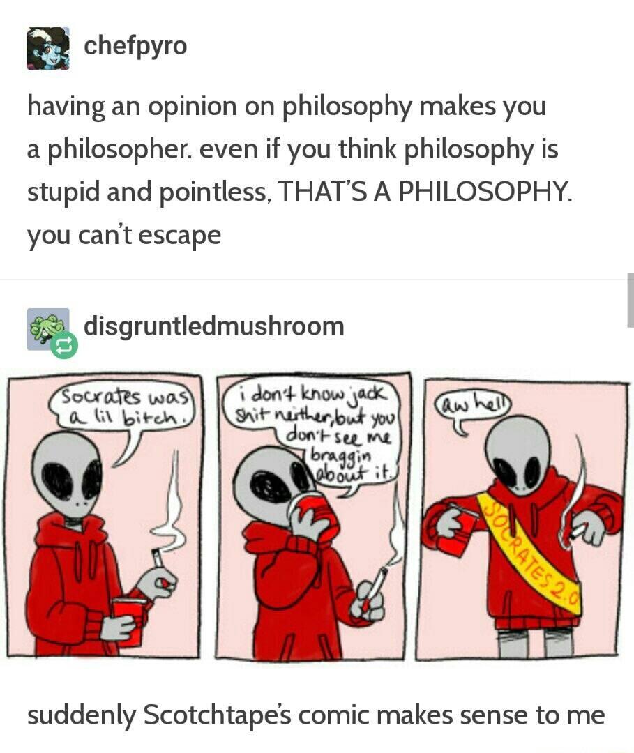 chefpyro having an opinion on philosophy makes you a philosopher even if you think philosophy is stupid and pointless THATS A PHILOSOPHY you cant escape gdisgrumledmushmom suddenly Scotchtapes comic makes sense to me