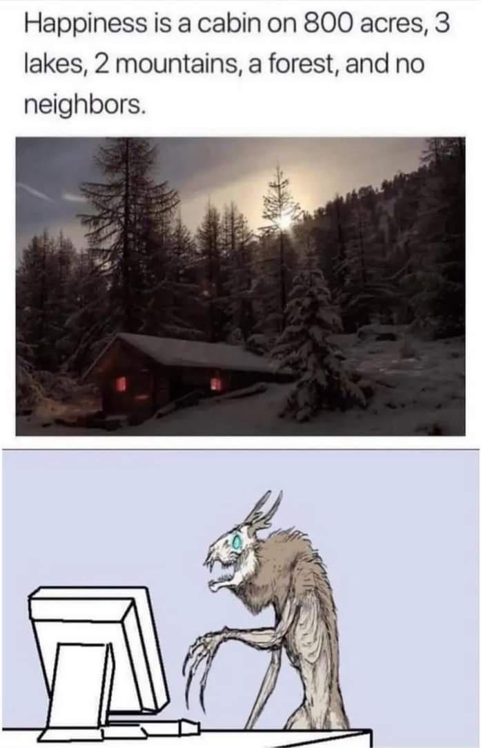 Happiness is a cabin on 800 acres 3 lakes 2 mountains a forest and no neighbors